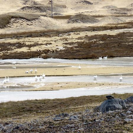 Ferienwohnung Stekkar 23 Patreksfjordur Exterior foto